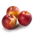 Nectarines in Group of Three Ã¢â¬â Bunch of Glossy-Skinned, Smooth Peach Variety Royalty Free Stock Photo